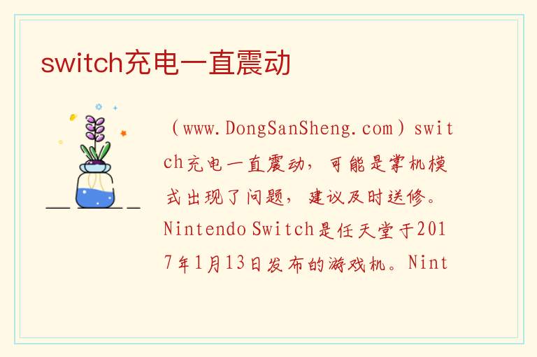 switch充电一直震动 