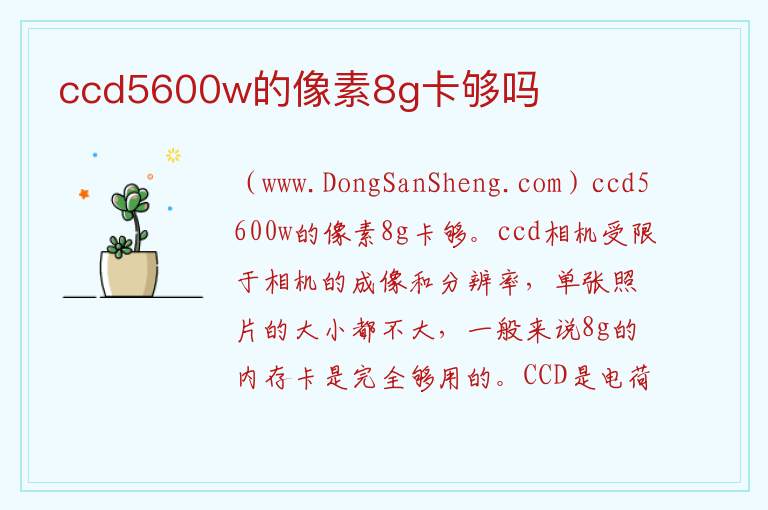 ccd5600w的像素8g卡够吗 