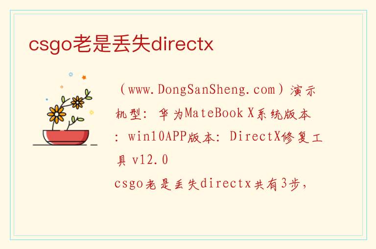 csgo老是丢失directx 