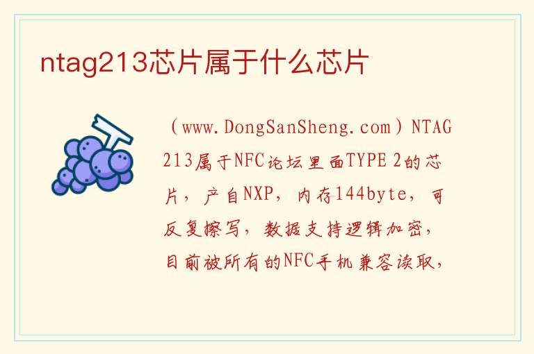 ntag213芯片属于什么芯片 