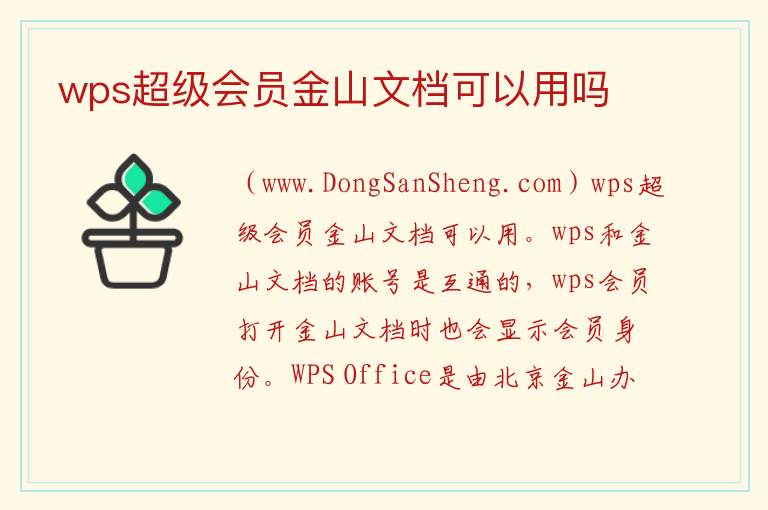 wps超级会员金山文档可以用吗 