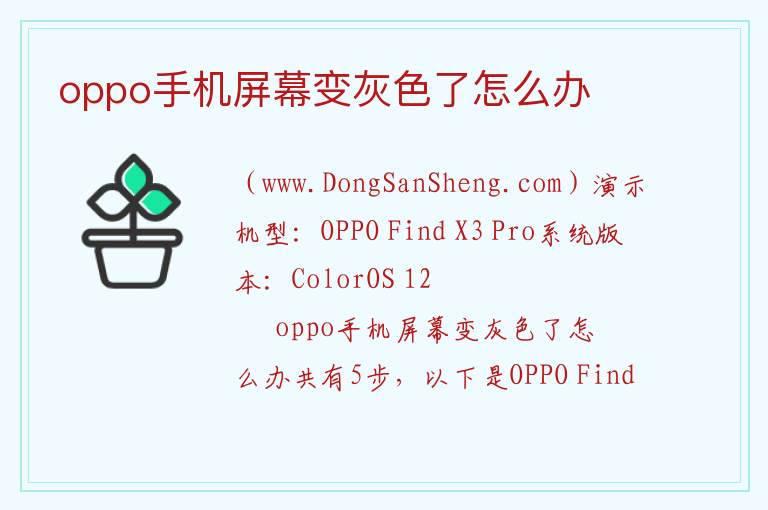 oppo手机屏幕变灰色了怎么办 