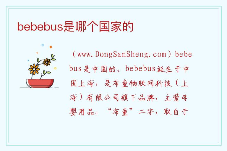 bebebus是哪个国家的 