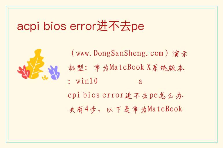 acpi bios error进不去pe 