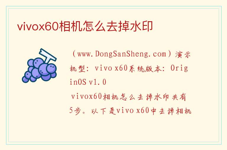 vivox60相机怎么去掉水印 