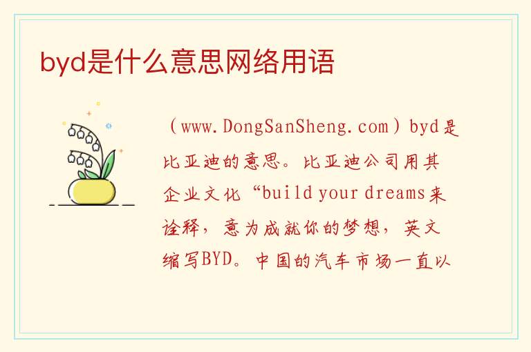 byd是什么意思骂人，byd是什么意思骂人