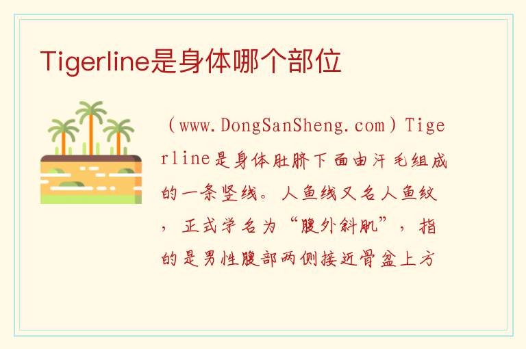 Tigerline是身体哪个部位 