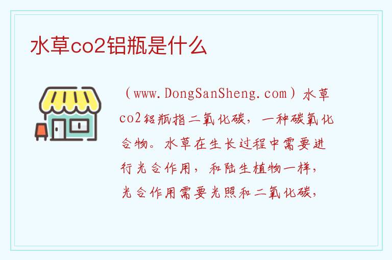 水草co2铝瓶是什么 