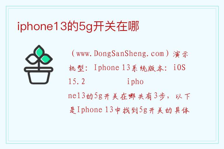 iphone13的5g开关在哪 