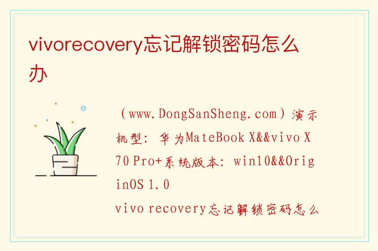 vivorecovery忘记解锁密码怎么办 vivo recovery强制解锁