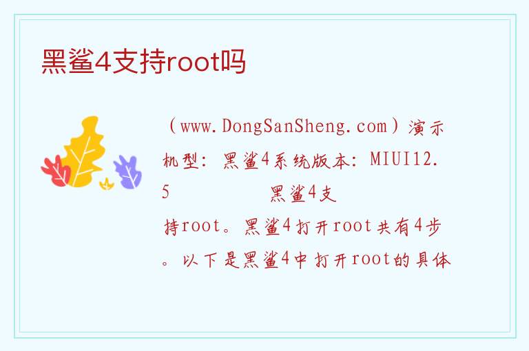 黑鲨4支持root吗 