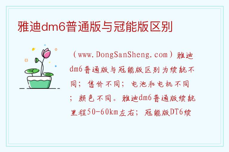 雅迪dm6普通版与冠能版区别 雅迪dm6能跑多少公里