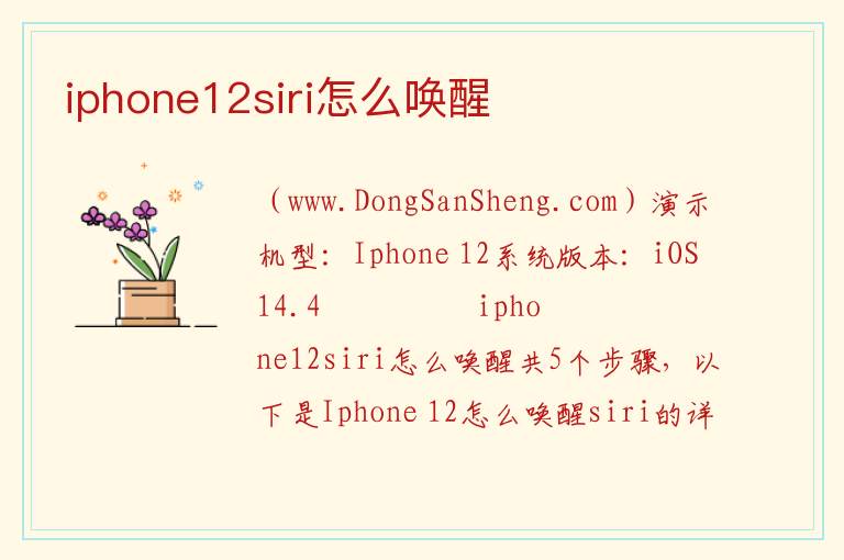 iphone12siri怎么唤醒 