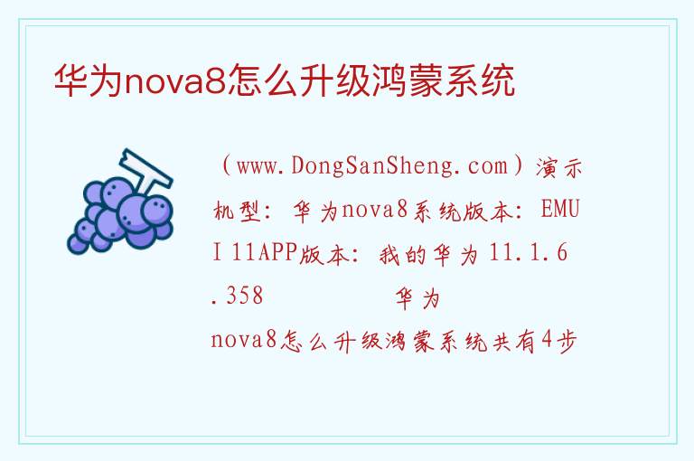 华为nova8怎么升级鸿蒙系统 