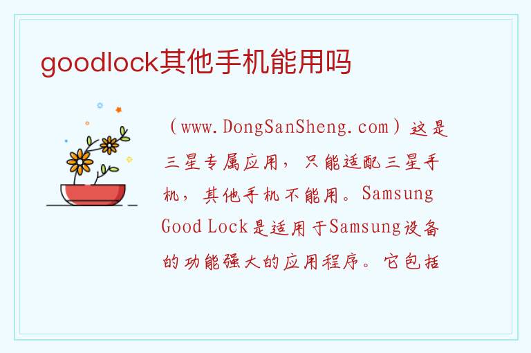 goodlock其他手机能用吗 