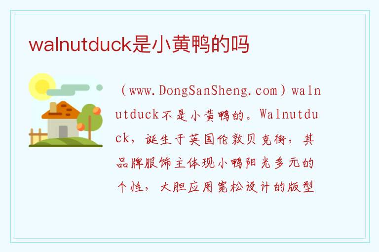 walnutduck是小黄鸭的吗 