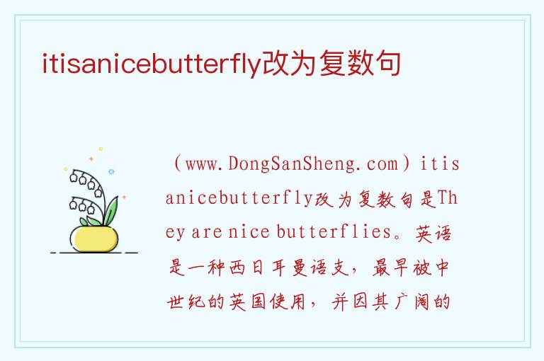 itisanicebutterfly改为复数句 