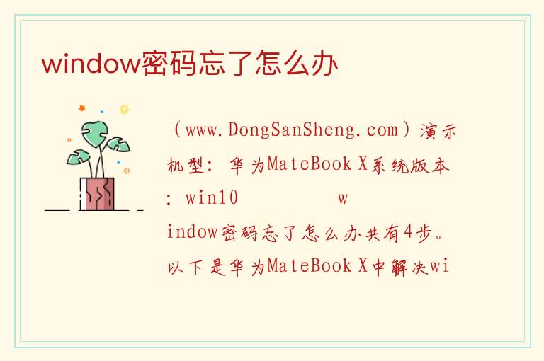 window密码忘了怎么办 