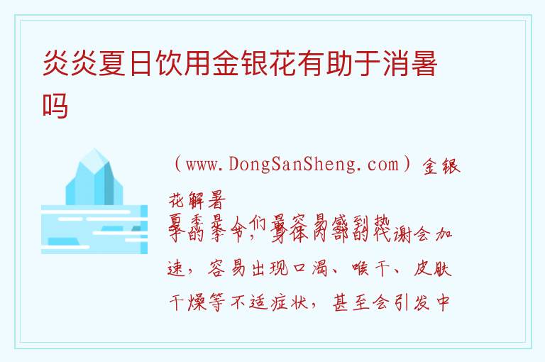 炎炎夏日饮用金银花有助于消暑吗 如何使用金银花来缓解高温天气带来的不适？