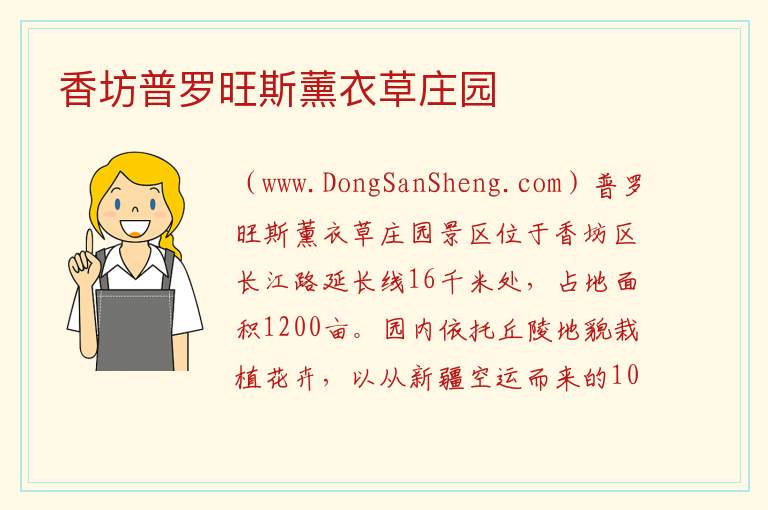 香坊普罗旺斯薰衣草庄园 黑龙江省哈尔滨市香坊：香坊普罗旺斯薰衣草庄园旅游攻略