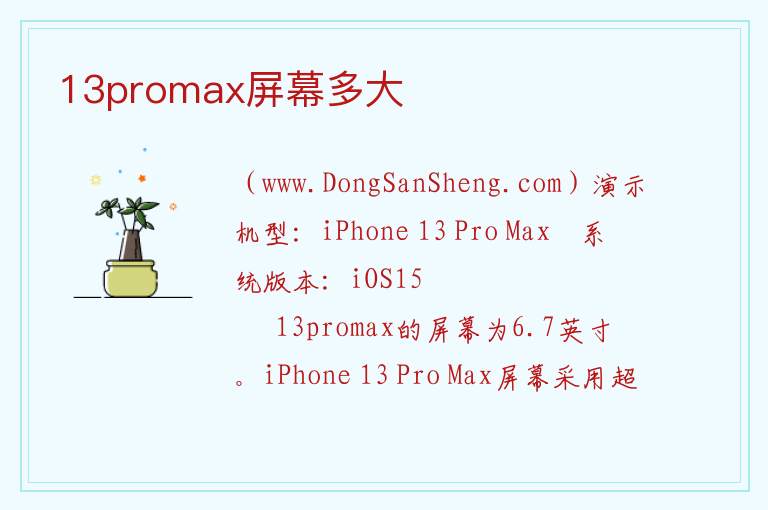 13promax屏幕多大 