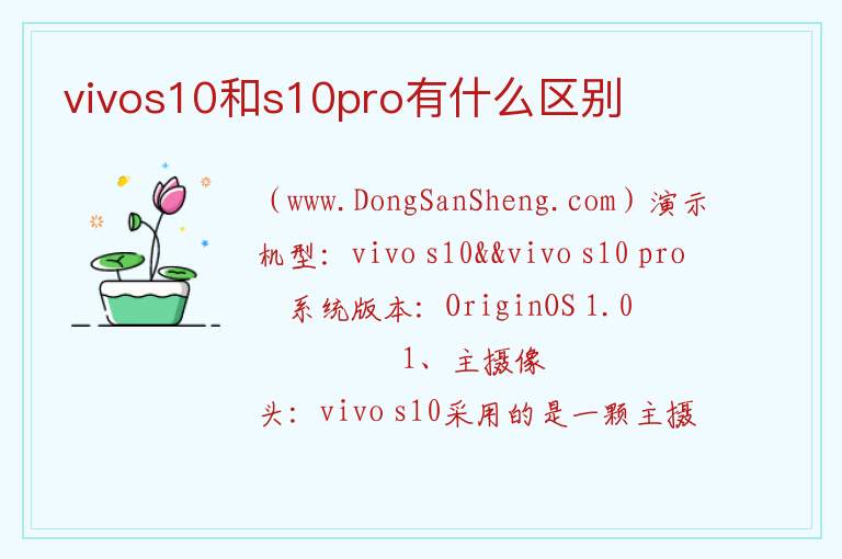 vivos10和s10pro有什么区别 