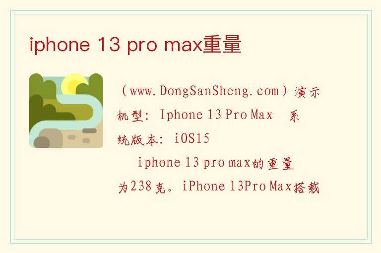 iphone 13 pro max重量 