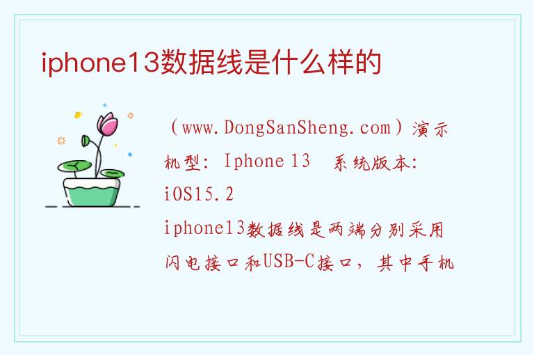 iphone13数据线是什么样的 