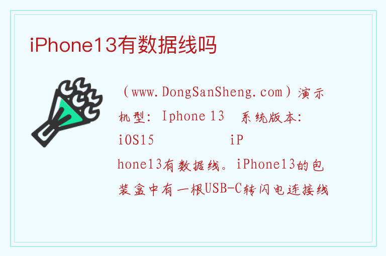 iPhone13有数据线吗 