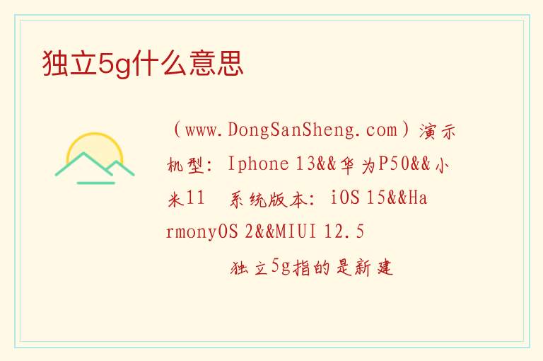 独立5g什么意思 