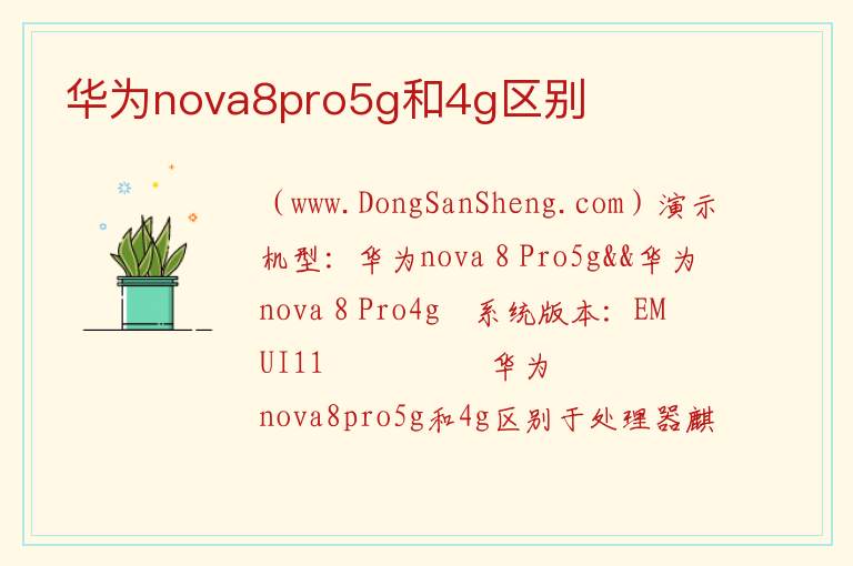 华为nova8pro5g和4g区别 