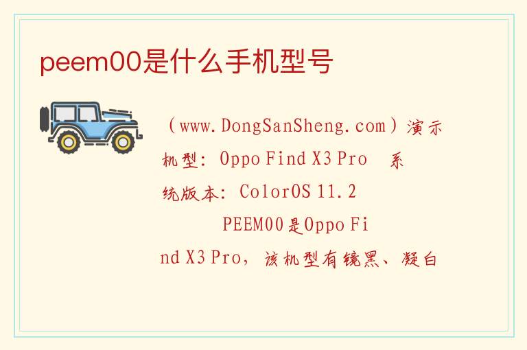 peem00是什么手机型号 