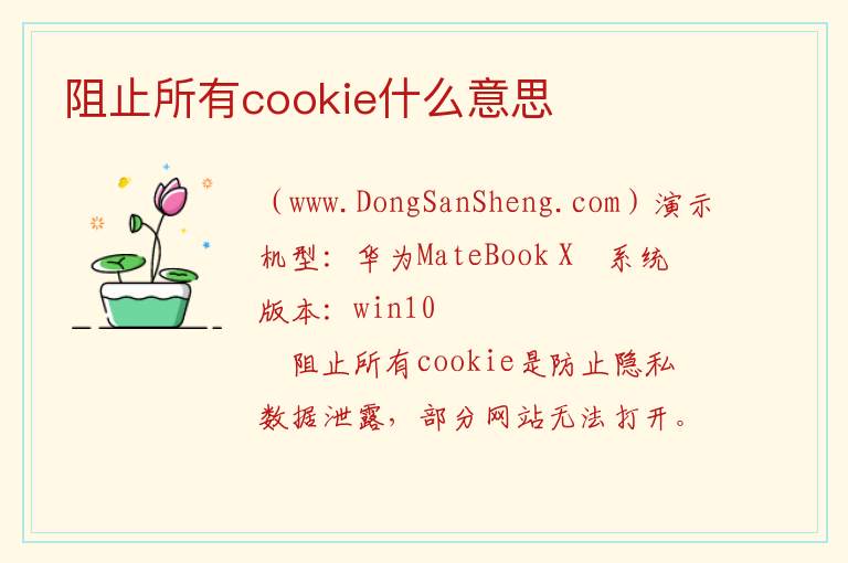 阻止所有cookie什么意思 