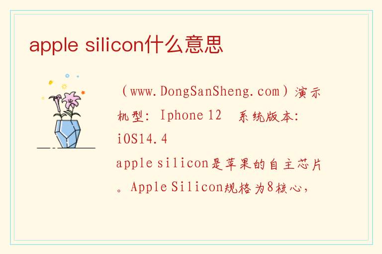 apple silicon什么意思 applestore安卓版