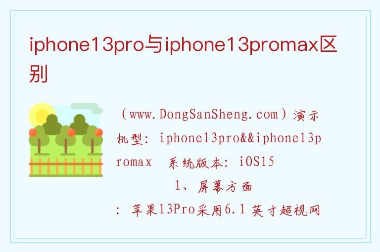 iphone13pro与iphone13promax区别 