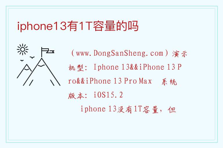 iphone13有1T容量的吗 