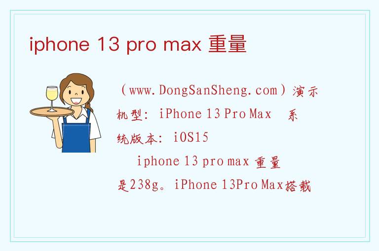 iphone 13 pro max 重量 