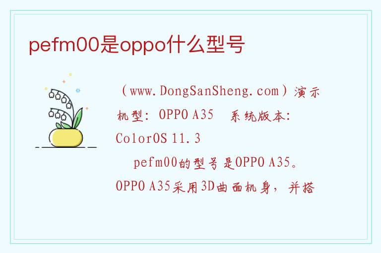 pefm00是oppo什么型号 