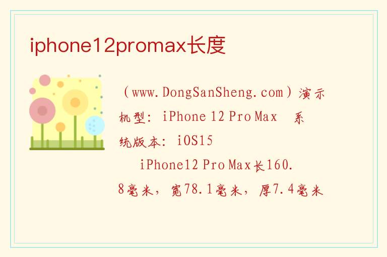 iphone12promax长度 