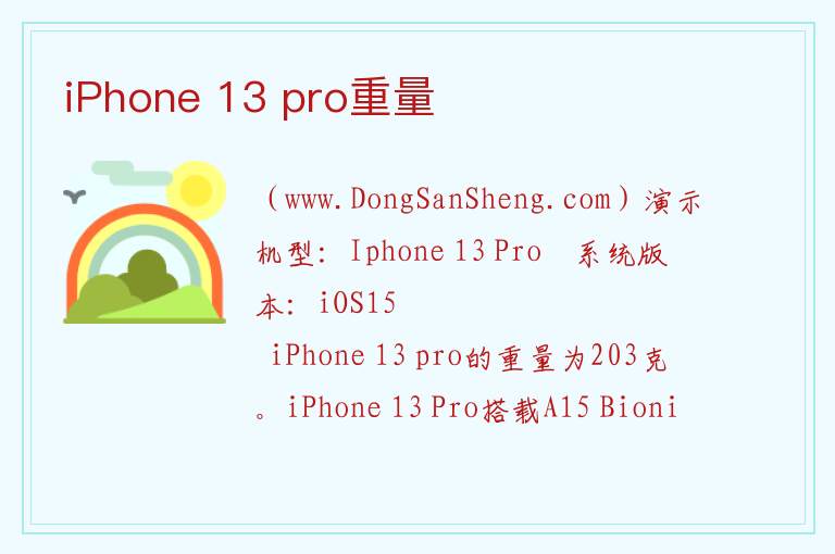 iPhone 13 pro重量 