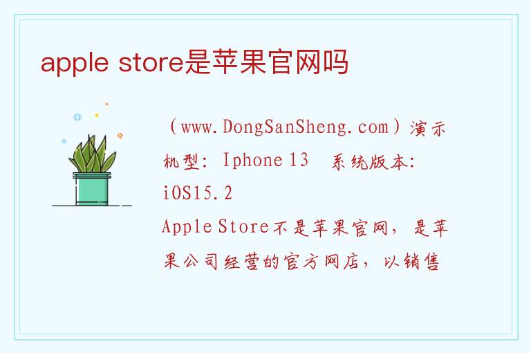 apple store是苹果官网吗 