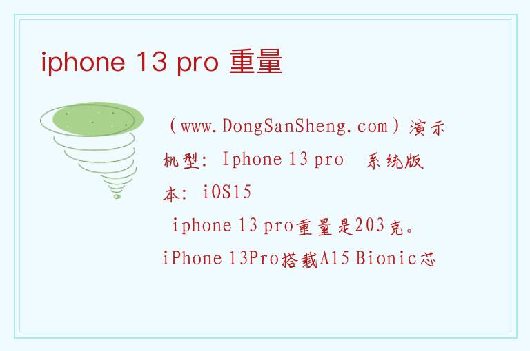 iphone 13 pro 重量 