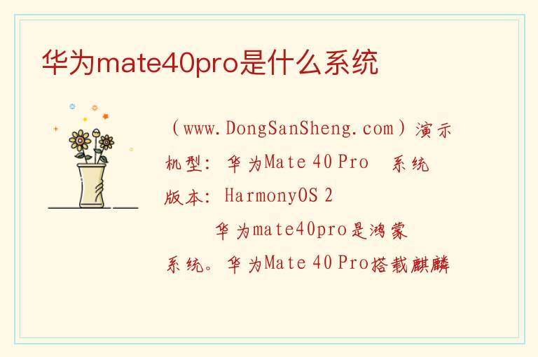 华为mate40pro是什么系统 