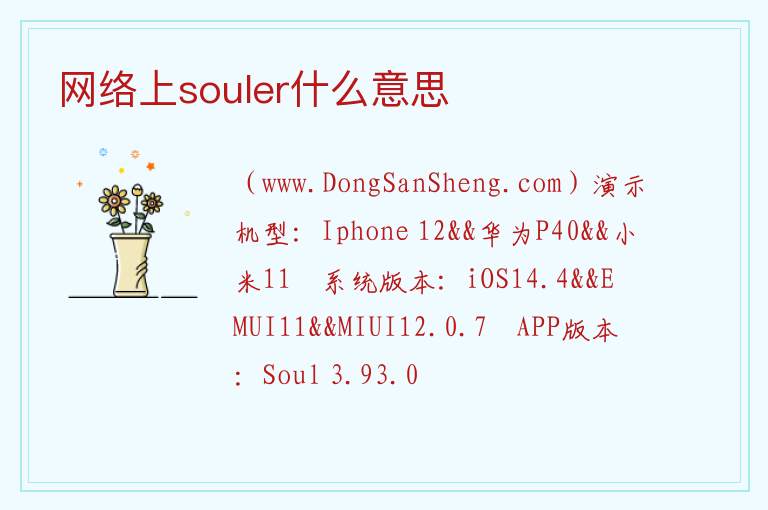 网络上souler什么意思 