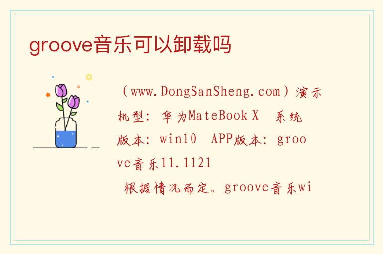 groove音乐可以卸载吗 groove音乐术语