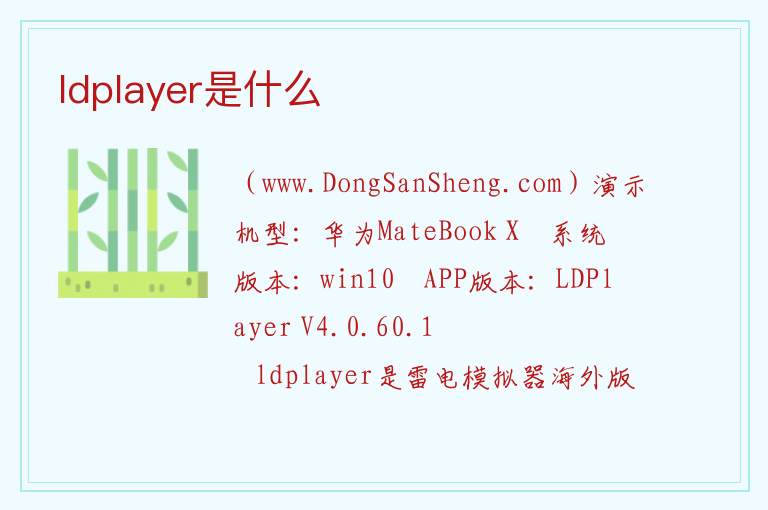 dvd player英语什么意思，dvd player英语什么意思