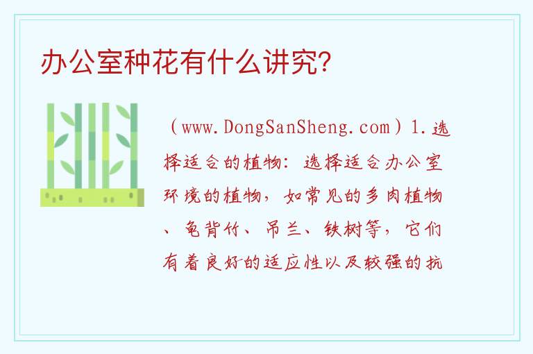 种花在办公室有哪些要注意的事项？，种花在办公室有哪些要注意的事项？